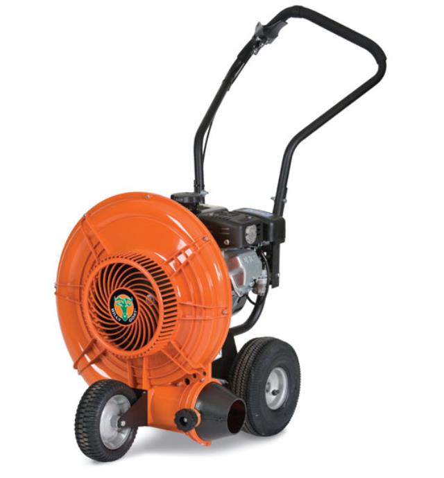 Where to rent BLOWER, PUSH in Bath NY