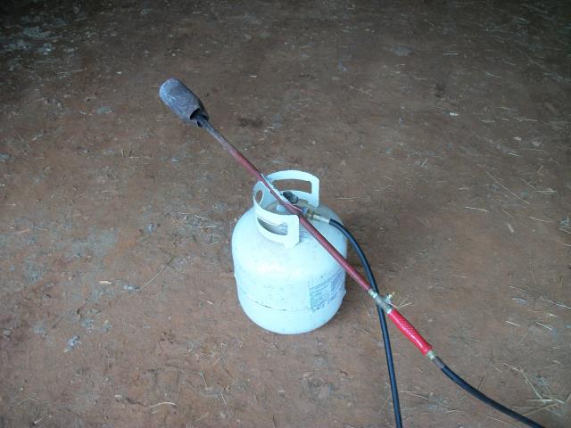 Where to rent TORCH,PROPANE in Bath NY