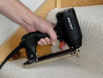 Where to rent CARPET STAPLER in Bath NY