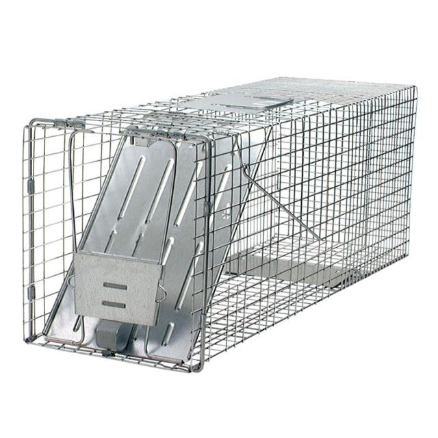 Where to rent 1 SIDED LARGE LIVE TRAP in Bath NY