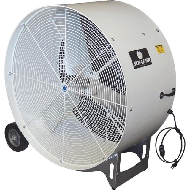 Where to rent FAN, 36  BIG FAN in Bath NY